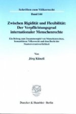 Zwischen Rigidität und Flexibilität: Der Verpflichtungsgrad internationaler Menschenrechte.