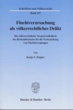 Fluchtverursachung als völkerrechtliches Delikt.