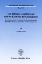 Der Tribunal Constitucional und die Kontrolle des Gesetzgebers.