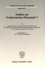 Studien zur Evolutorischen Ökonomik V.