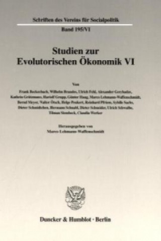 Studien zur Evolutorischen Ökonomik VI.