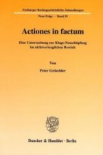 Actiones in factum.