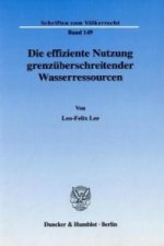 Die effiziente Nutzung grenzüberschreitender Wasserressourcen.