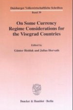 On Some Currency Regime Considerations for the Visegrad Countries