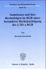 Sanktionen und ihre Rechtsfolgen im BGB unter besonderer Berücksichtigung des 241 a BGB.