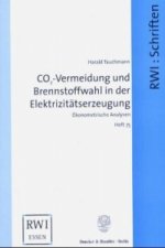 CO2-Vermeidung und Brennstoffwahl in der Elektrizitätserzeugung