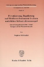 Privatisierung, Regulierung und Wettbewerbselemente in einem natürlichen Infrastrukturmonopol.