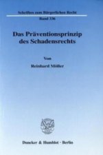 Das Präventionsprinzip des Schadensrechts.