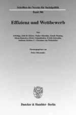 Effizienz und Wettbewerb.