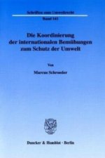 Die Koordinierung der internationalen Bemühungen zum Schutz der Umwelt.