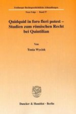 Quidquid in foro fieri potest - Studien zum römischen Recht bei Quintilian.