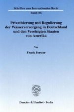 Privatisierung und Regulierung der Wasserversorgung in Deutschland und den Vereinigten Staaten von Amerika.