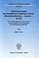 Zahlungszusagen im bargeldlosen Zahlungsverkehr: Bestandsaufnahme - Analyse - Kritik.
