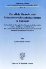 Parallele Grund- und Menschenrechtsschutzsysteme in Europa?