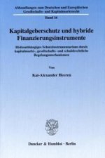 Kapitalgeberschutz und hybride Finanzierungsinstrumente.