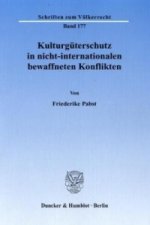 Kulturgüterschutz in nicht-internationalen bewaffneten Konflikten.