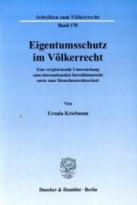 Eigentumsschutz im Völkerrecht.