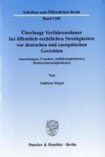 Überlange Verfahrensdauer bei öffentlich-rechtlichen Streitigkeiten vor deutschen und europäischen Gerichten.