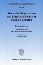 Wirtschaftliche, soziale und kulturelle Rechte im globalen Zeitalter