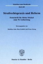 Strafrechtspraxis und Reform