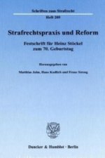 Strafrechtspraxis und Reform