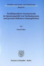 Tarifdispositives Gesetzesrecht im Spannungsfeld von Tarifautonomie und grundrechtlichen Schutzpflichten