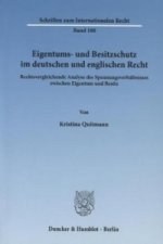 Eigentums- und Besitzschutz im deutschen und englischen Recht