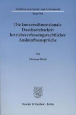 Die konzerndimensionale Durchsetzbarkeit betriebsverfassungsrechtlicher Auskunftsansprüche.