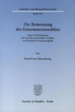 Die Bemessung des Inkommensurablen