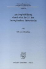 Analogiebildung durch den EuGH im Europäischen Privatrecht