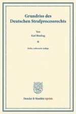 Grundriss des Deutschen Strafprocessrechts