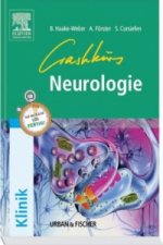 Crashkurs Neurologie