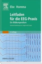 Leitfaden für die EEG-Praxis