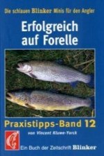 Erfolgreich auf Forelle