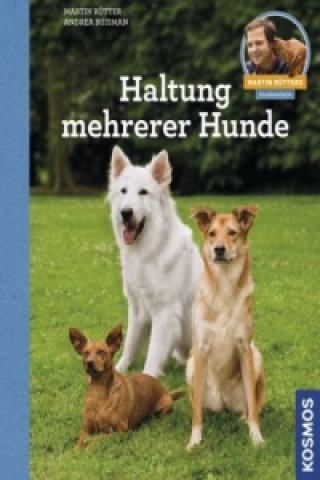 Haltung mehrerer Hunde