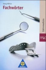 Fachwörter Zahnmedizin