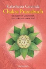 Chakra Praxisbuch