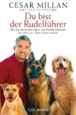 Du bist der Rudelführer
