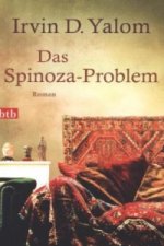 Das Spinoza-Problem