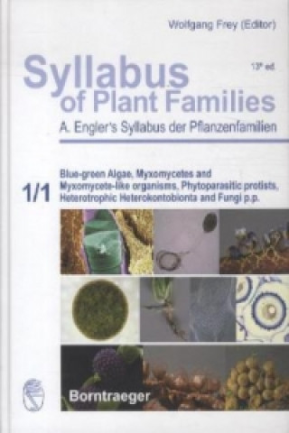 Syllabus of Plant Families - A. Engler's Syllabus der Pflanzenfamilien Part 1/1: