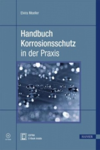 Handbuch Korrosionsschutz in der Praxis, m. CD-ROM