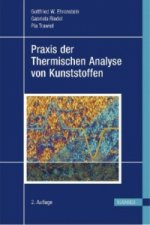 Praxis der Thermischen Analyse von Kunststoffen