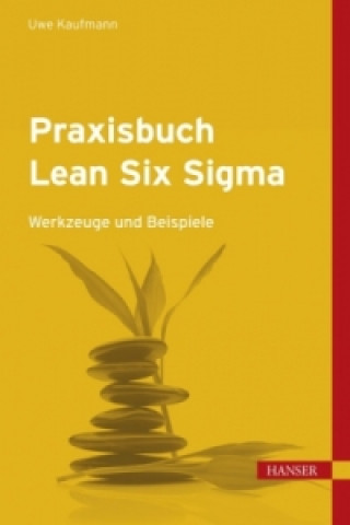 Praxisbuch Lean Six Sigma