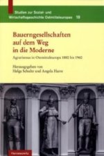 Bauerngesellschaften auf dem Weg in die Moderne