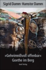 »Geheimnißvoll offenbar«. Goethe im Berg