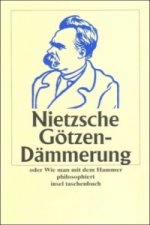 Götzen-Dämmerung oder Wie man mit dem Hammer philosophiert