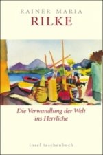 Die Verwandlung der Welt ins Herrliche