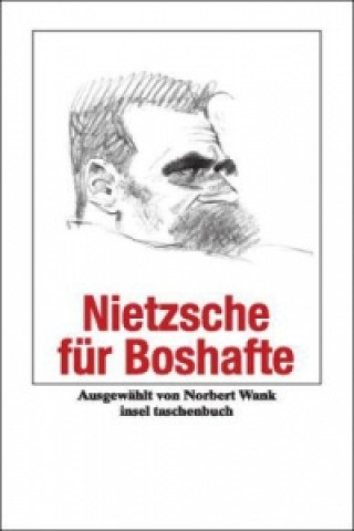 Nietzsche für Boshafte