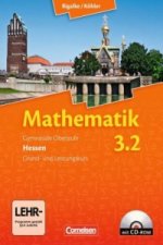 Bigalke/Köhler: Mathematik - Hessen - Bisherige Ausgabe - Band 3.2: Grund- und Leistungskurs - 4. Halbjahr