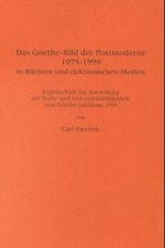 Das Goethe-Bild der Postmoderne 1975-1999 in Büchern und elektronischen Medien